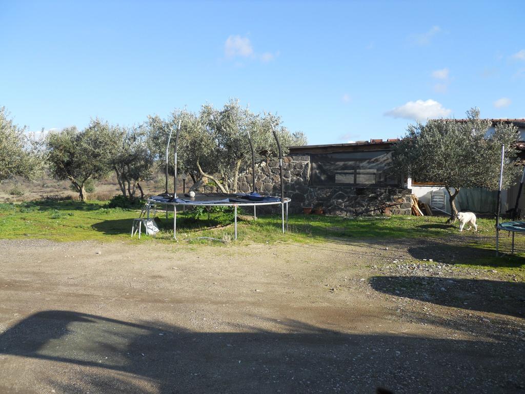 Agriturismo Su Nuratolu Villa Sagama Luaran gambar